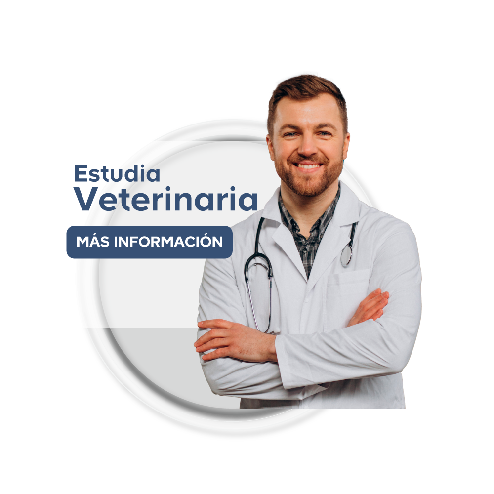 Carrera Veterinaria